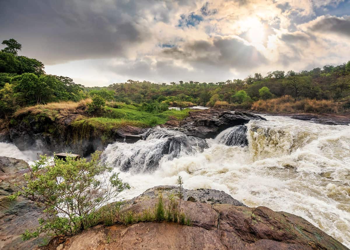 10-Day Best of Uganda Safari Adventure