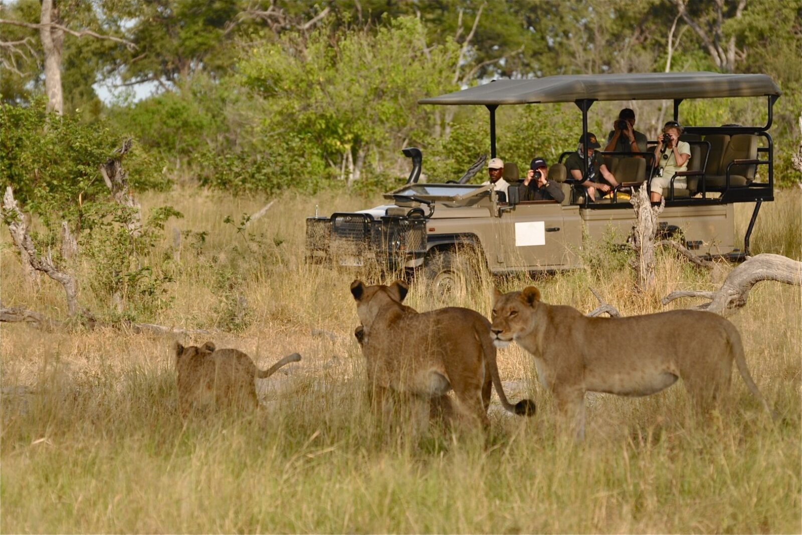 10-Day Best of Uganda Safari Adventure