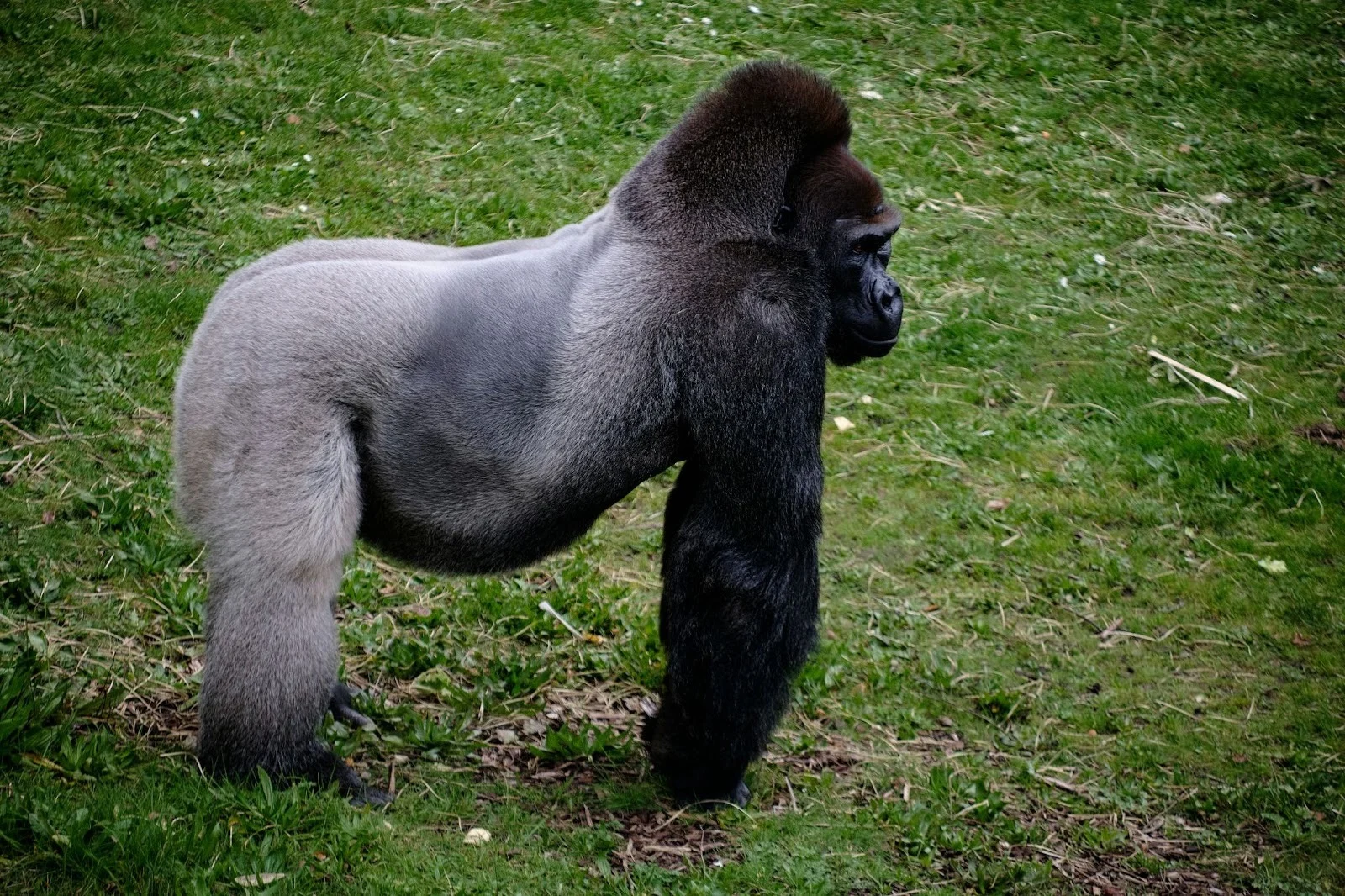 10-Day Best of Uganda Safari Adventure