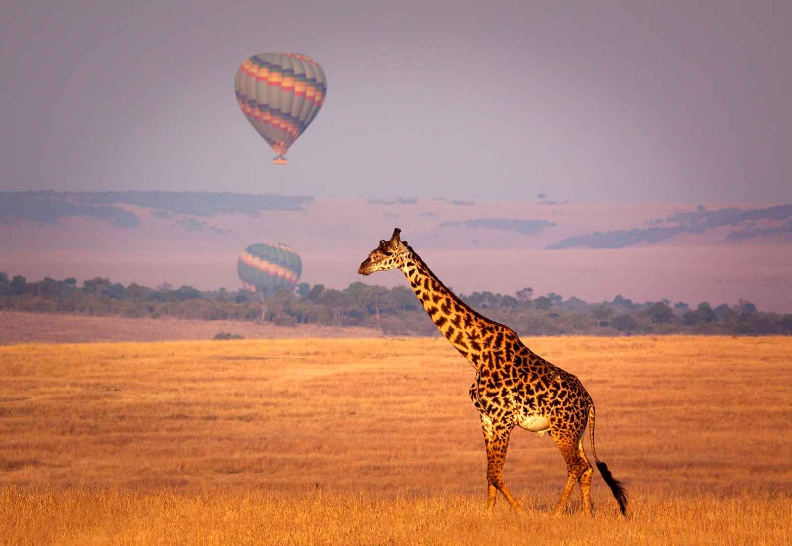 10-Day Kenya Wildlife & Culture Safari