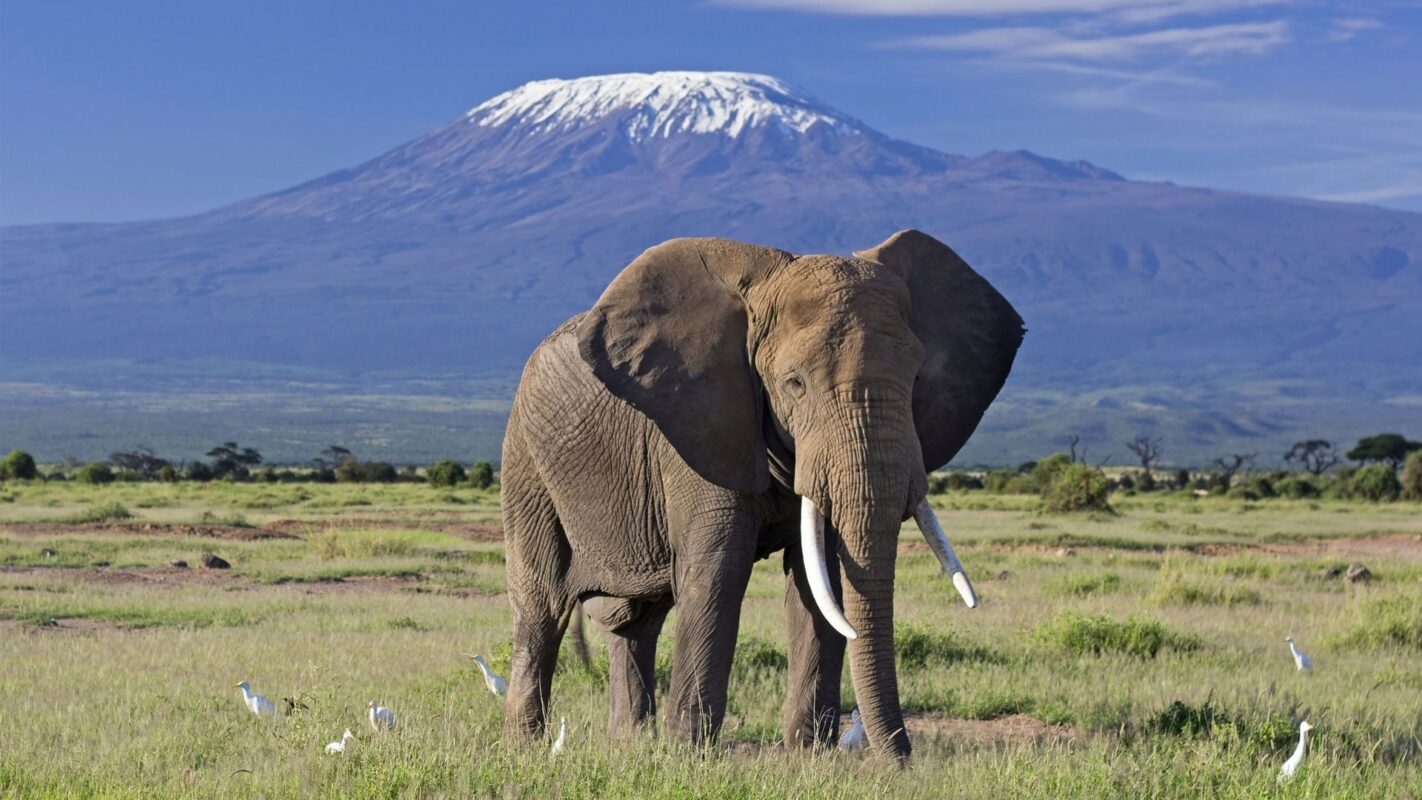 10-Day Kenya Wildlife & Culture Safari