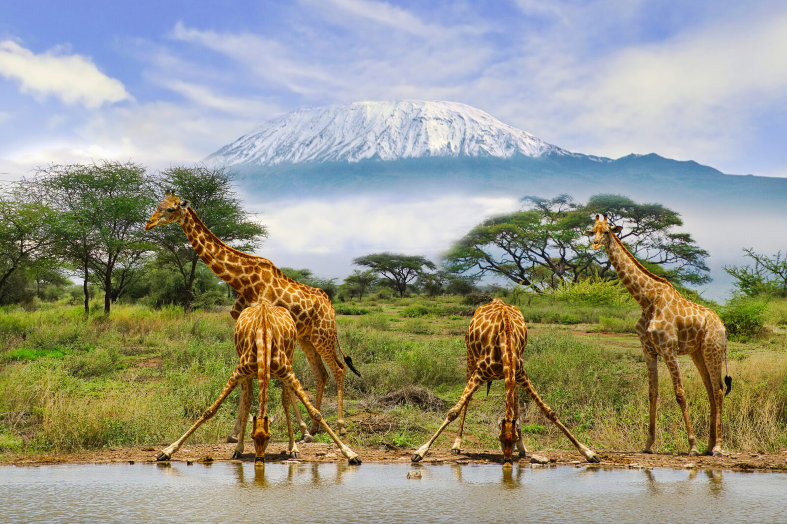 10-Day Kenya Wildlife & Culture Safari