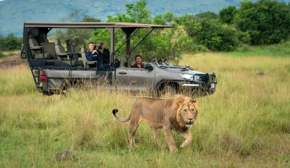 10-Day Uganda Luxury Safari