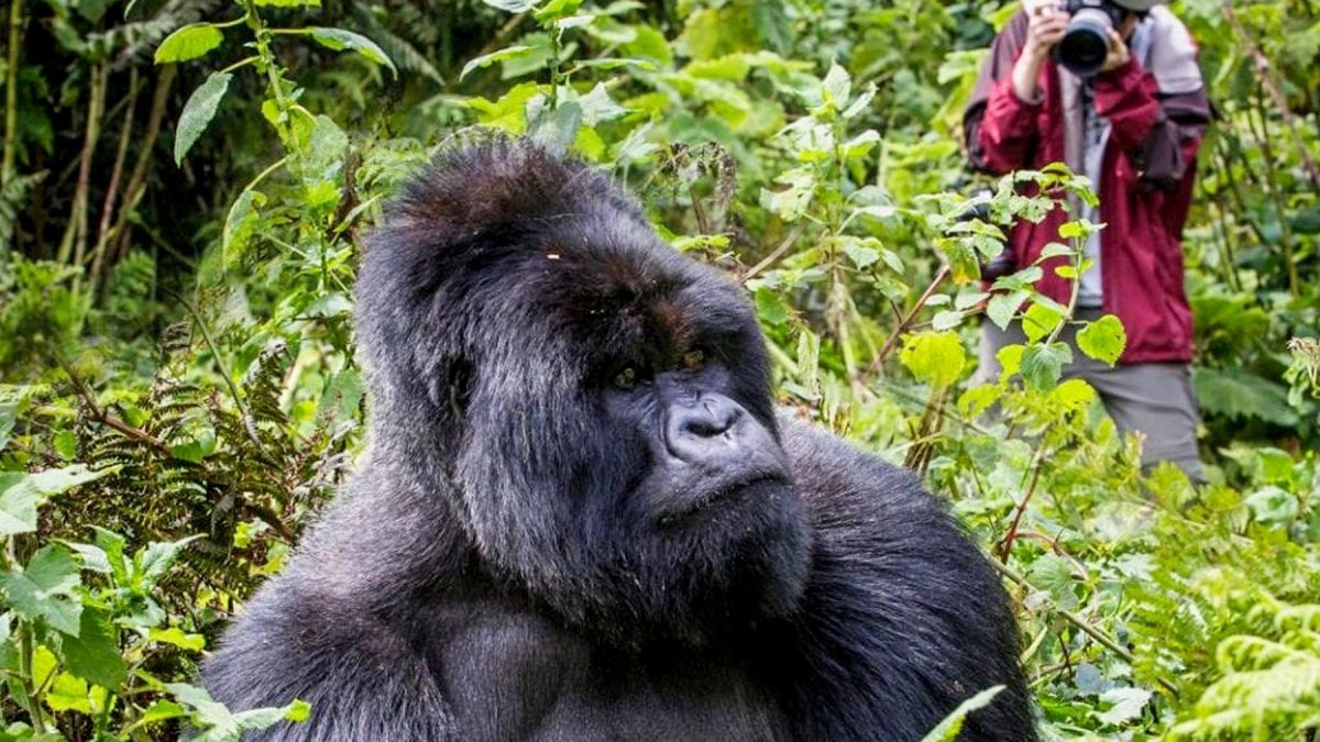 10 Days Uganda Photography Safari