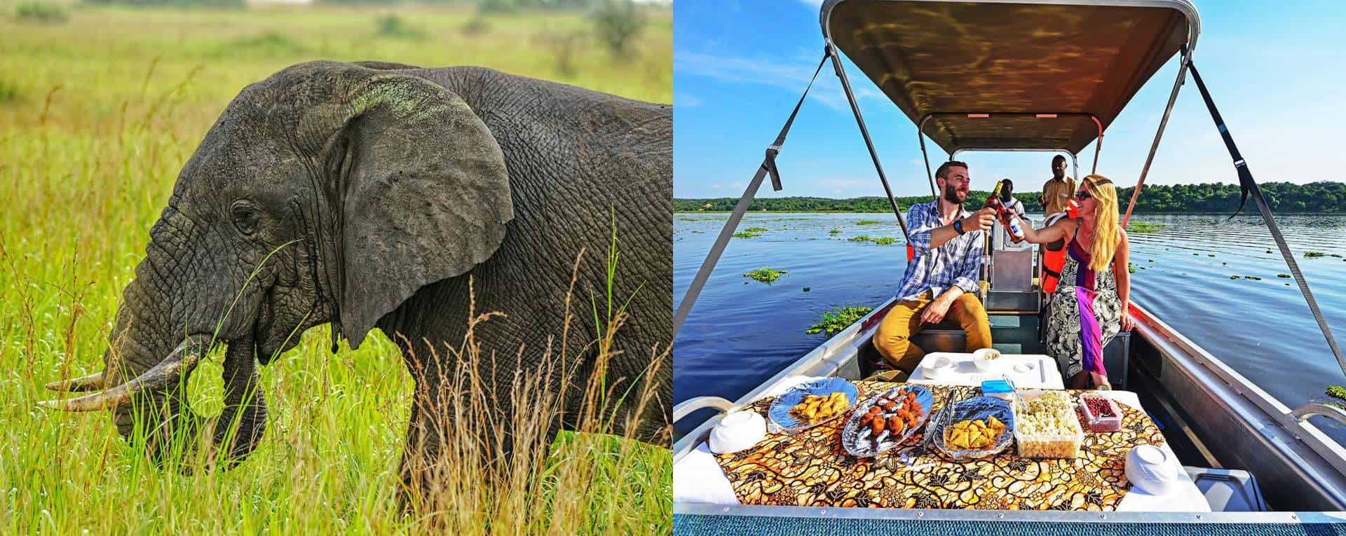 11 Days Uganda & Rwanda Honeymoon Safari