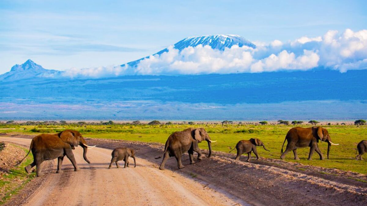 12 Days Kenya Ultimate Safari