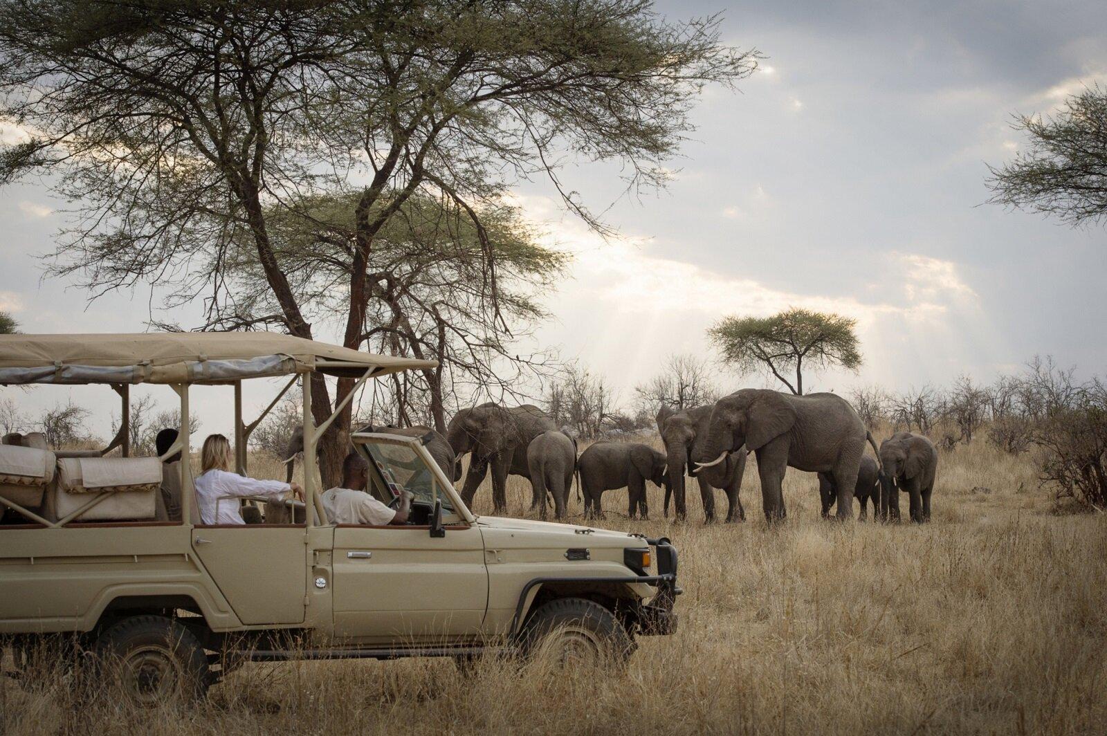 12 Days Tanzania Ultimate Safari