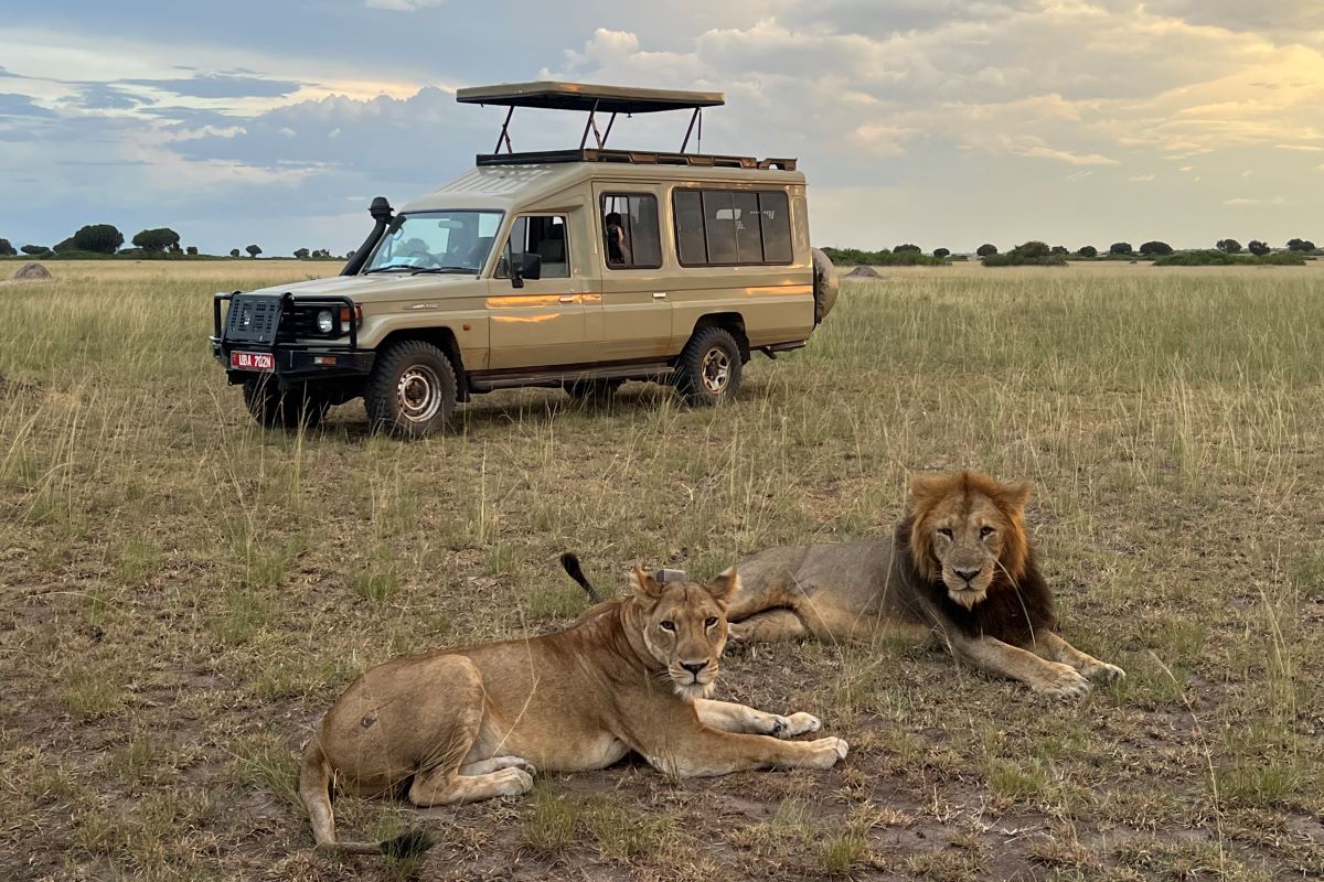 12 Days Uganda & Rwanda Luxury Safari Escape