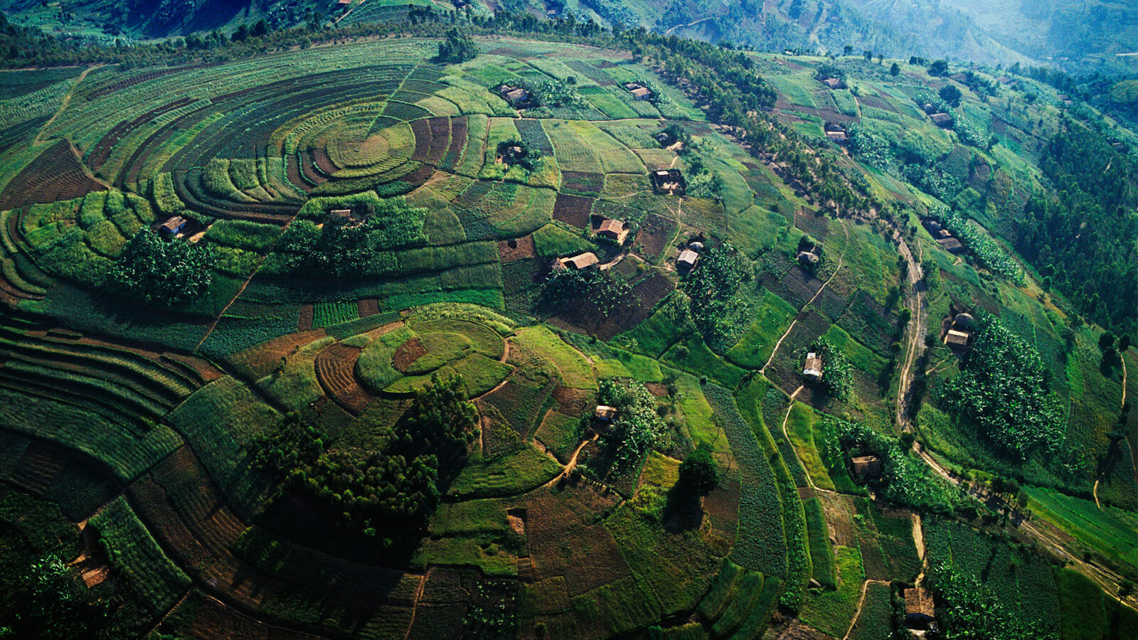 14 Days Uganda & Rwanda Photography Safari
