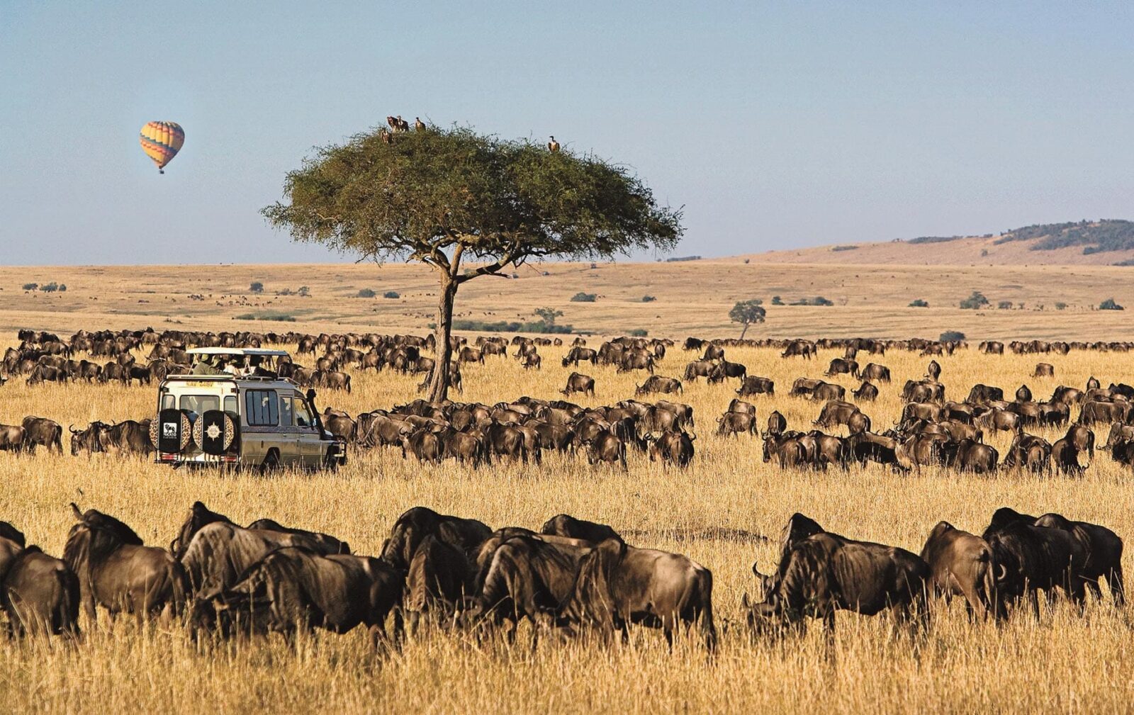 3-Day Maasai Mara Express Safari