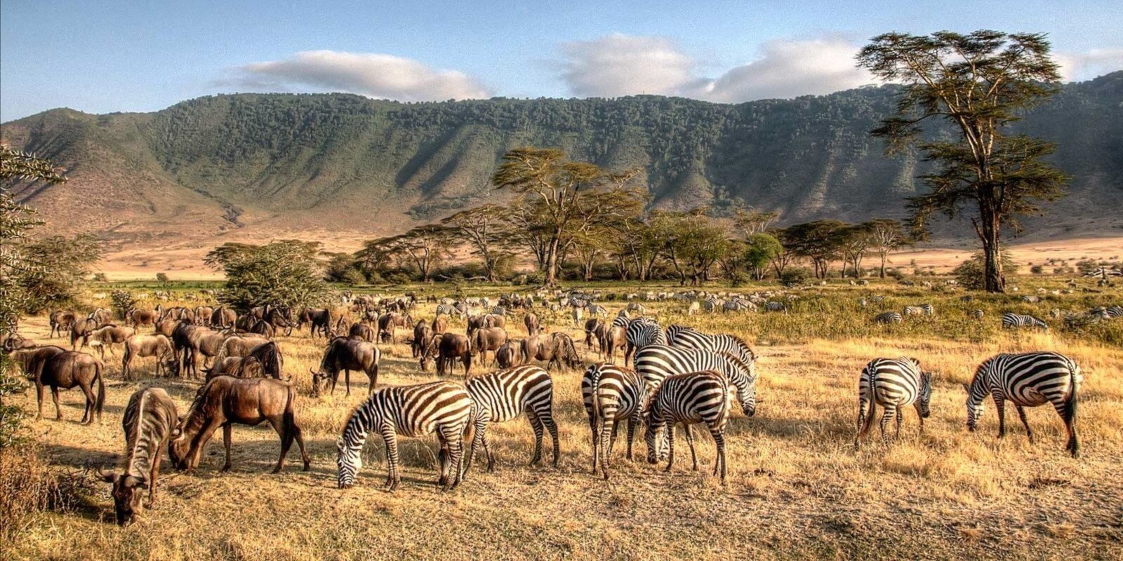 3-Day Serengeti Express Safari