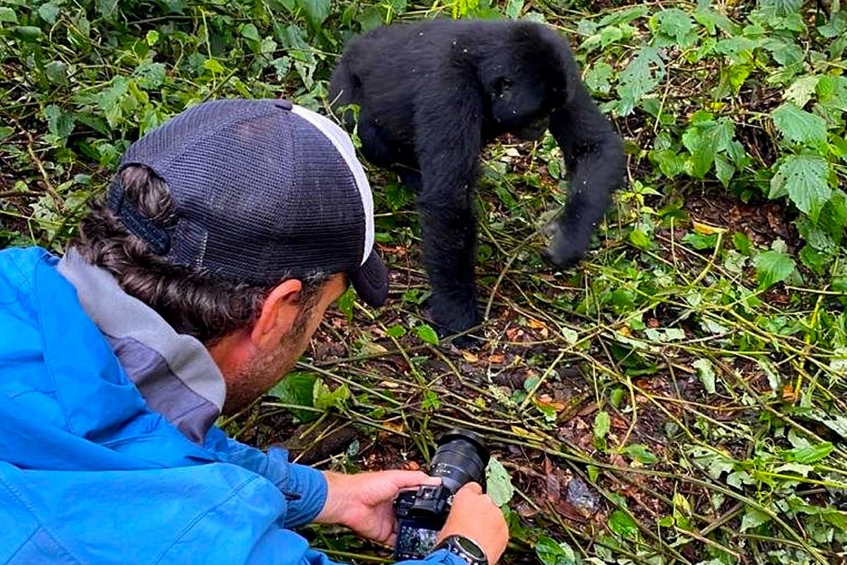 4 Days Double Mountain Gorilla Trekking Safari