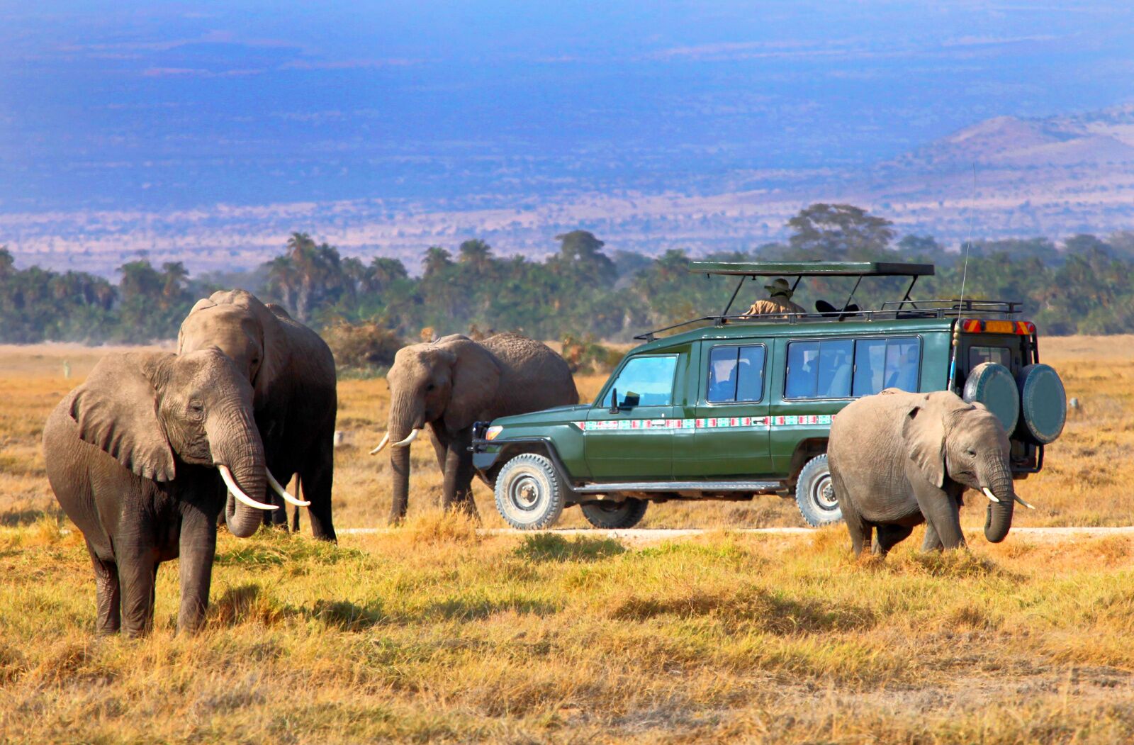 5-Day Classic Kenya Safari – Maasai Mara & Lake Naivasha