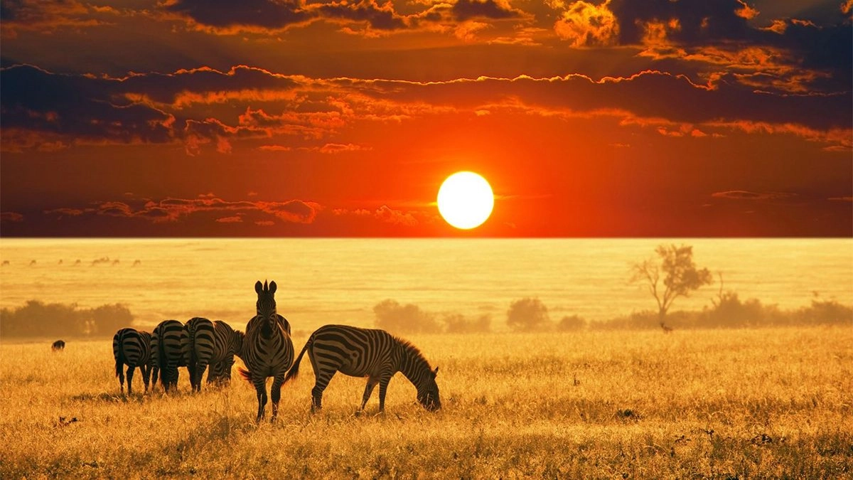 5-Day Classic Serengeti & Ngorongoro Safari