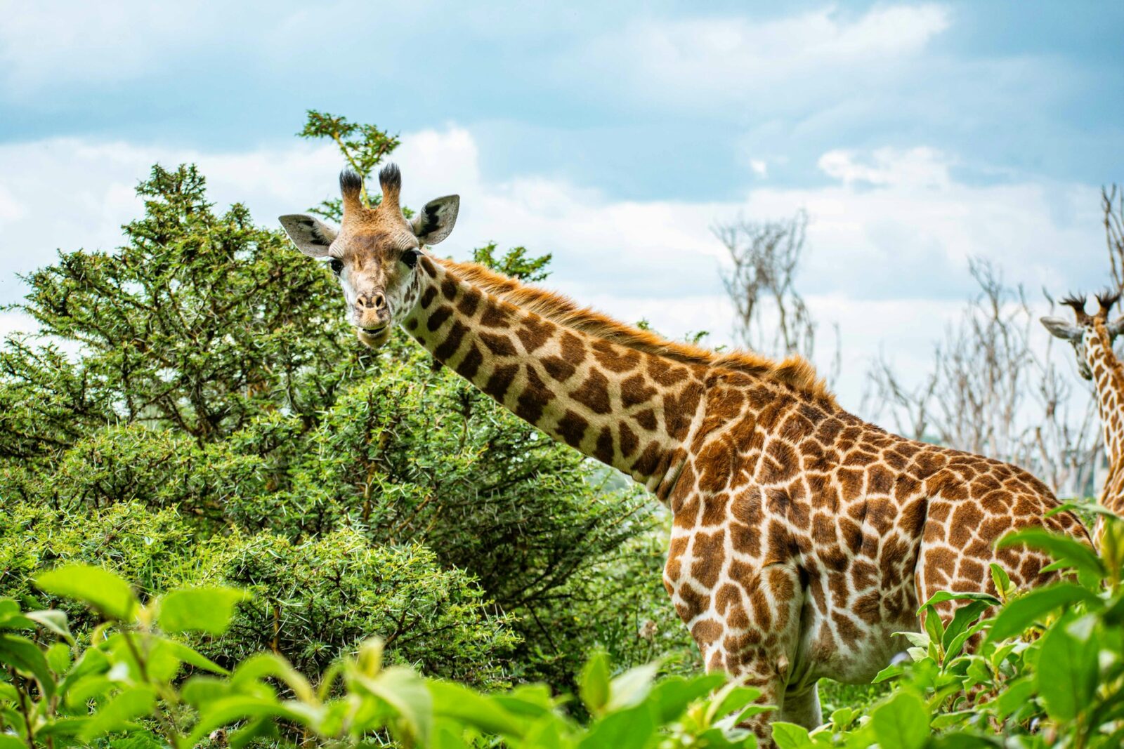 5-Day Kenya Adventure Safari