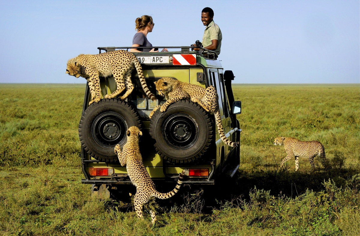 5-Day Tanzania Adventure Safari