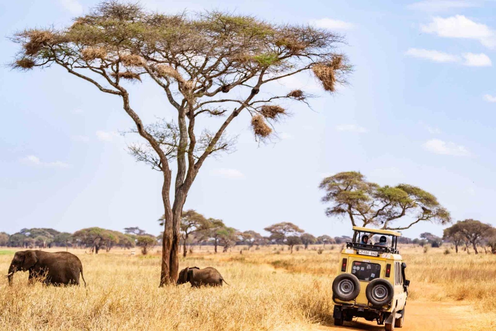 5-Day Tanzania Adventure Safari