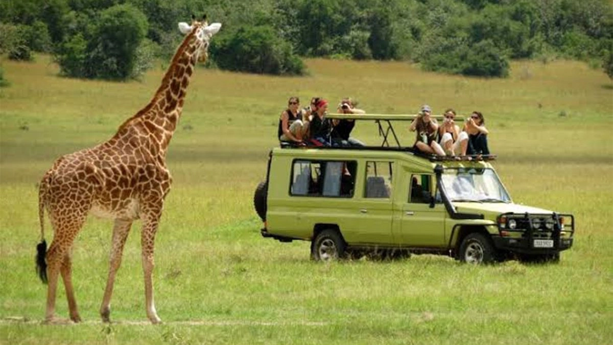 5-Day Tanzania Adventure Safari