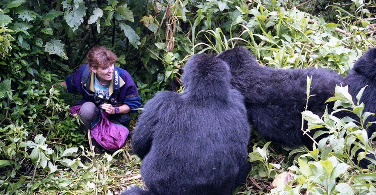 5 Days Uganda & Rwanda Gorilla Trekking Safari