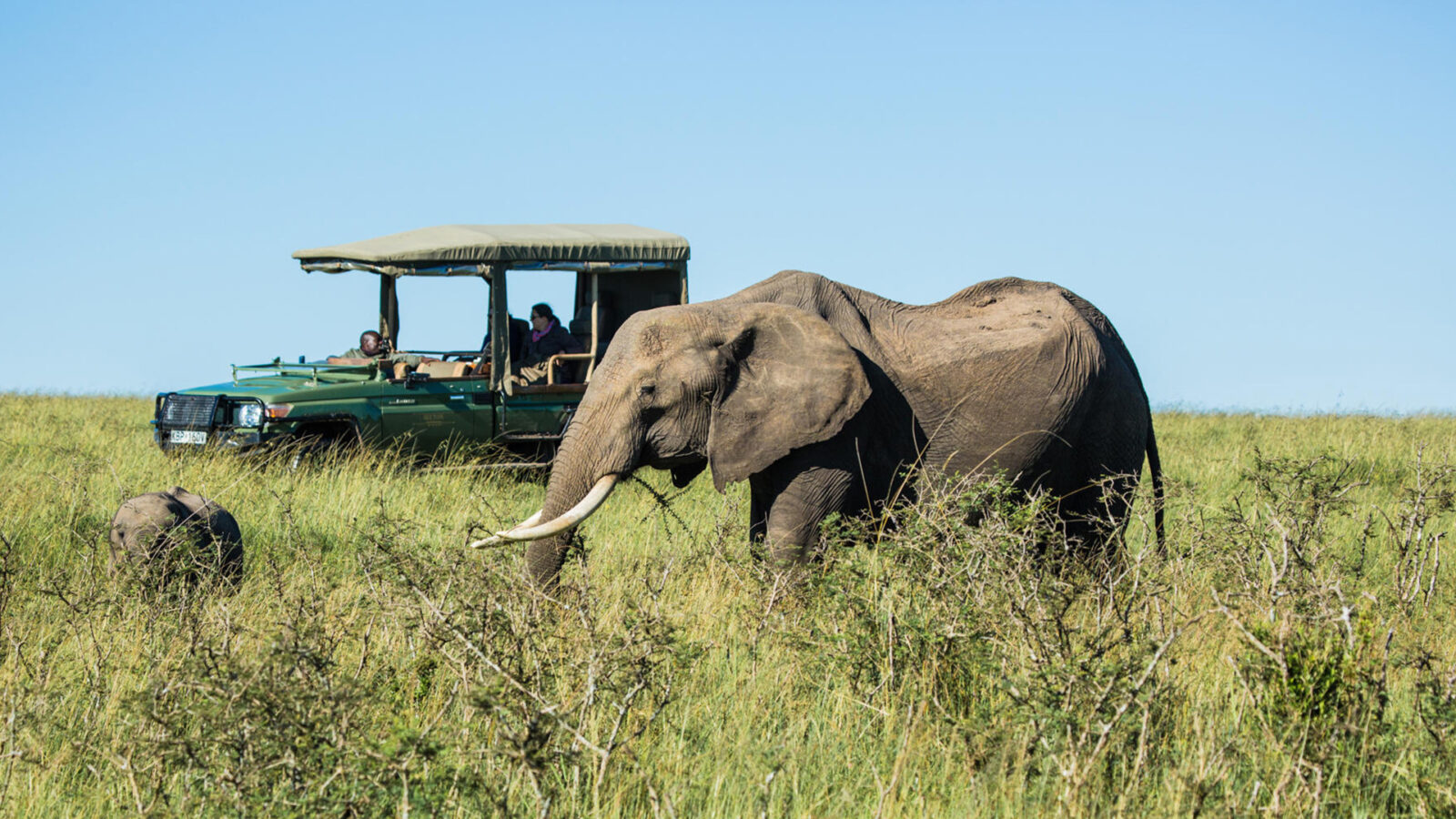 6-Day Kenya Luxury Safari