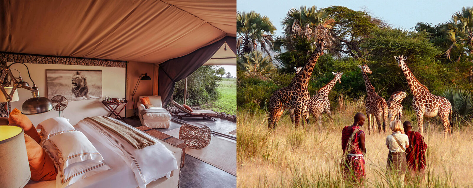 6-Day Luxury Tanzania Safari