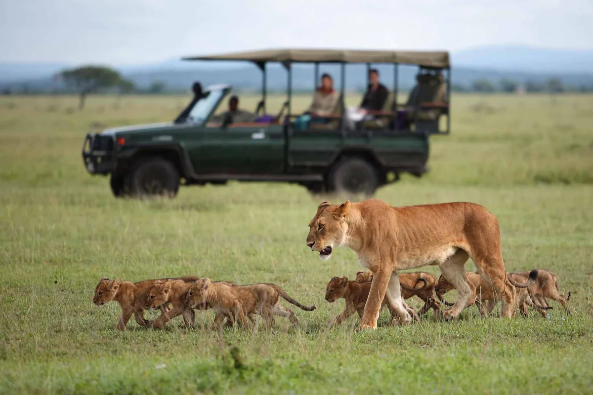 6 Days Tanzania Honeymoon Safari