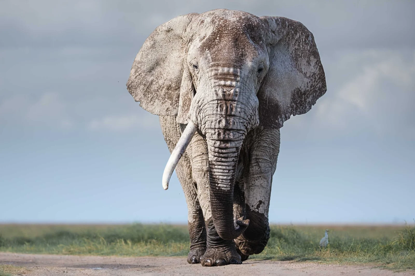 7-Day Kenya Photography Safari