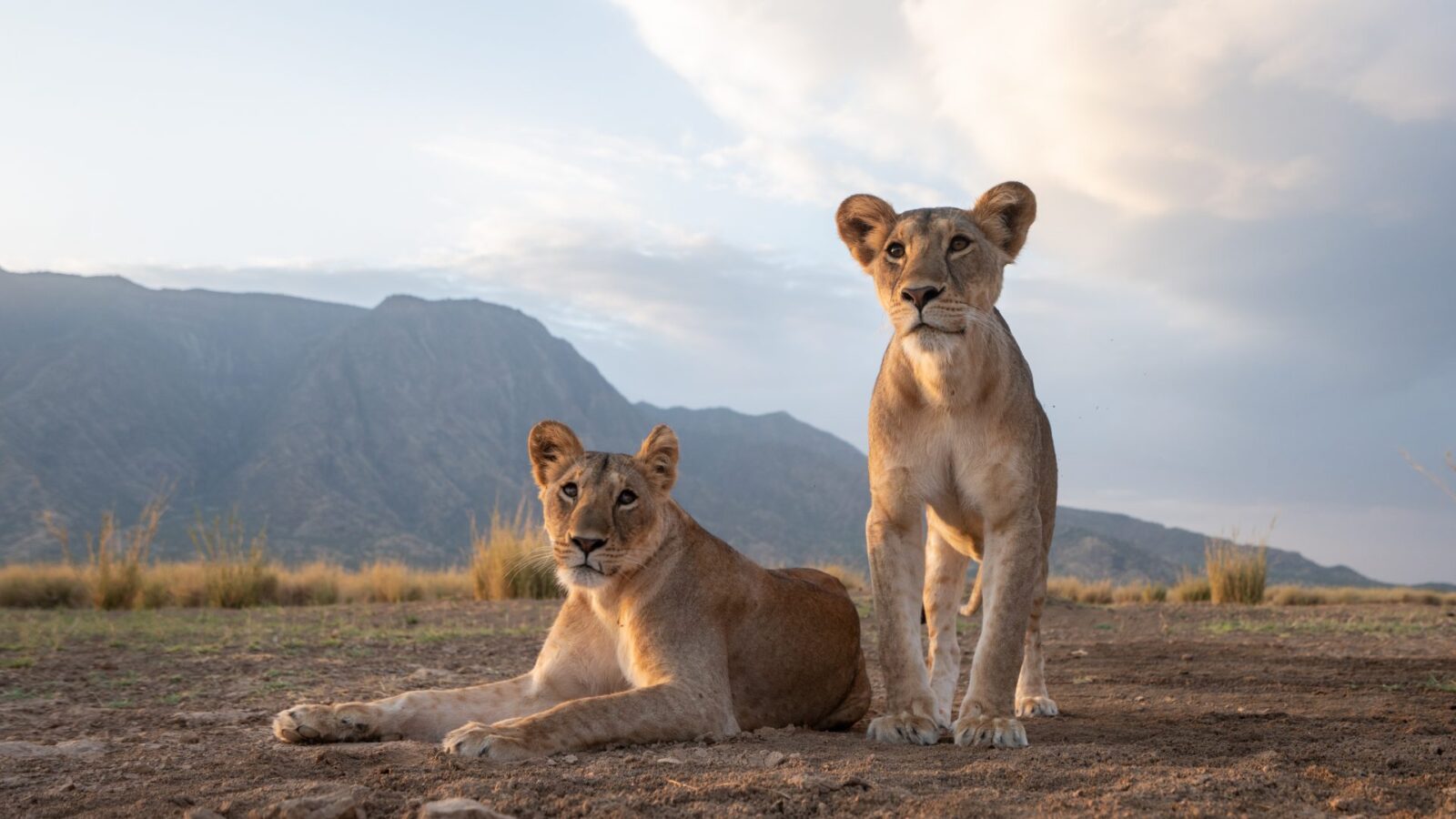 7-Day Kenya Photography Safari