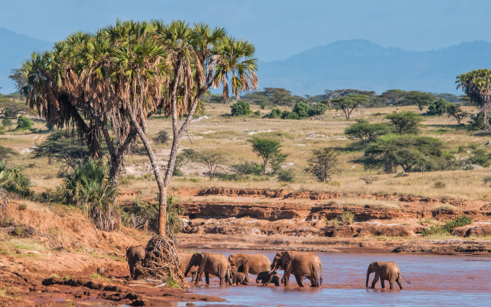 7-Day Kenya Photography Safari