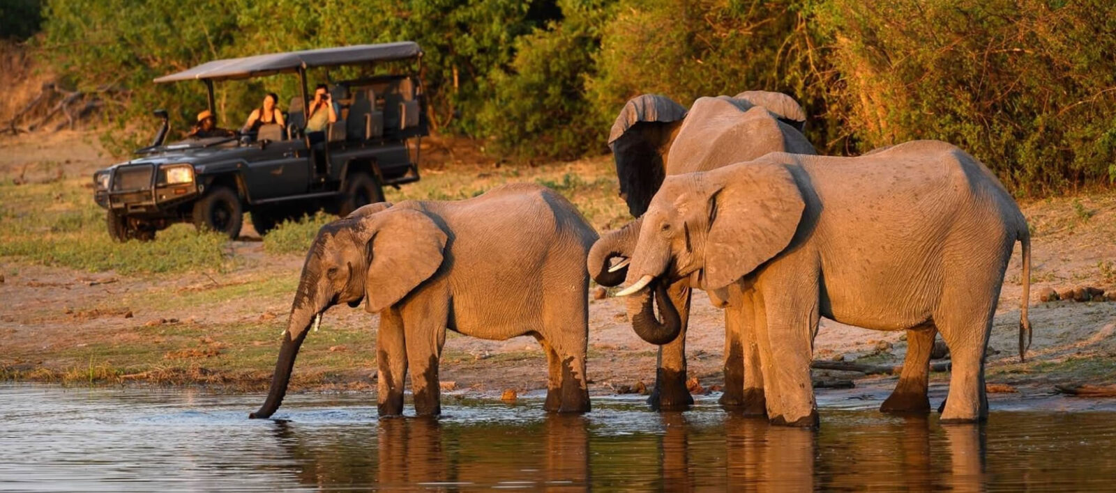 7-Day Tanzania Big Five Safari