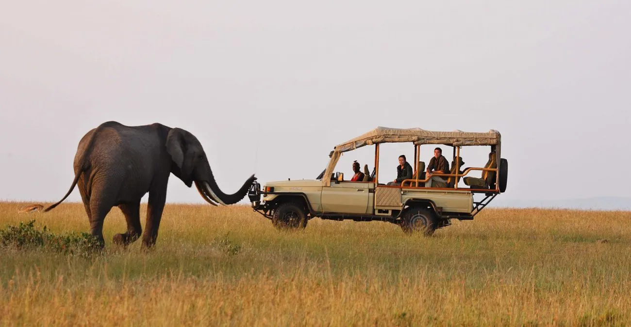 7 Days Kenya Highlands & Safari 1 7 Days Kenya Highlands & Safari