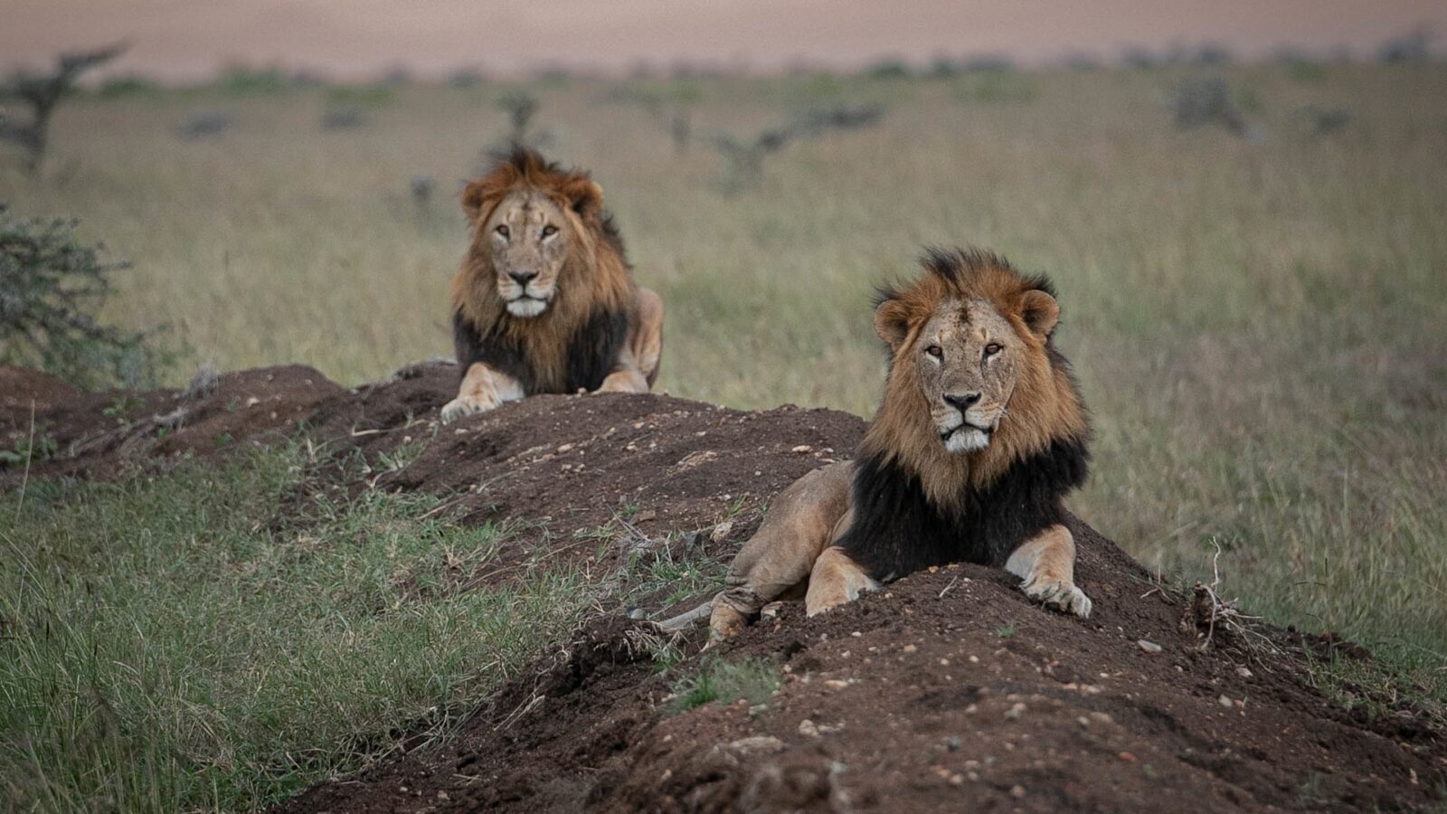 7 Days Kenya Highlands & Safari 7 Days Kenya Highlands & Safari