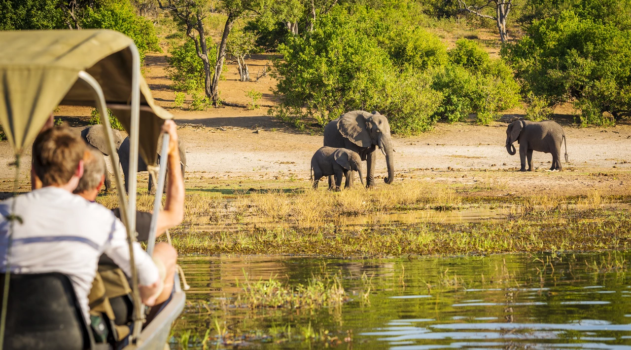 7 Days Tanzania Highlands & Safari