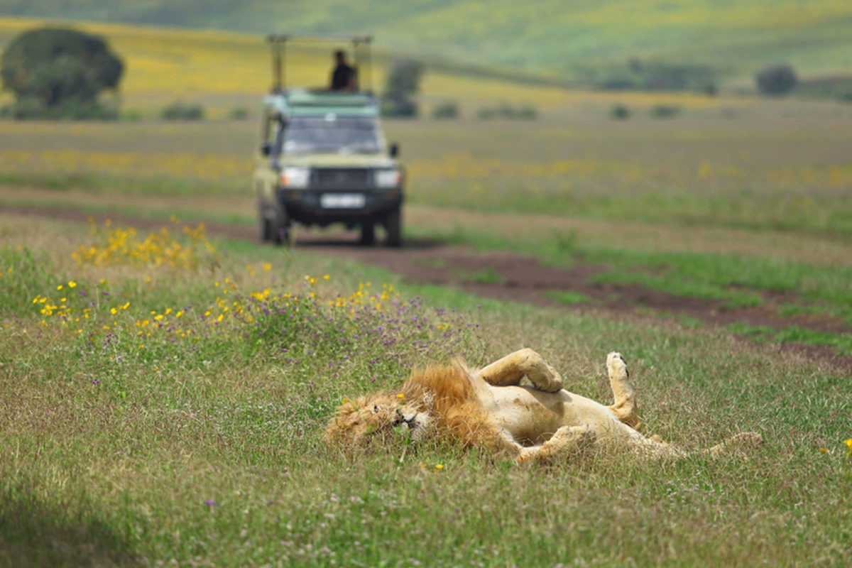 7 Days Tanzania Highlands & Safari