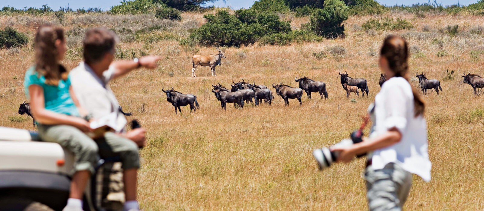 8-Day Tanzania Family Safari