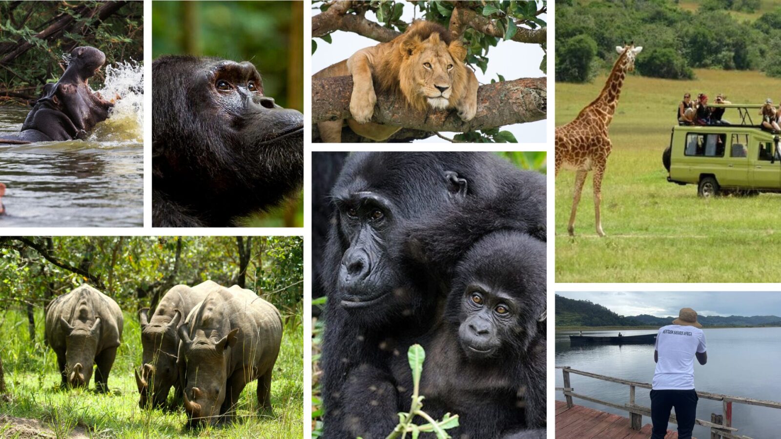 8 Days Uganda & Rwanda Family Safari