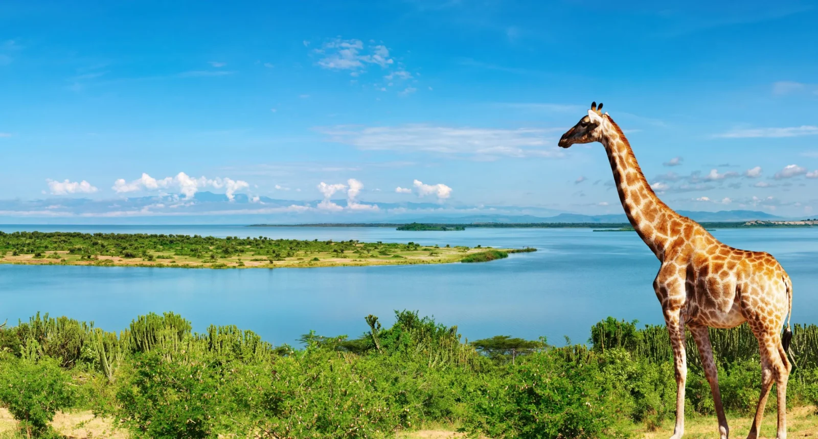 8 Days Uganda & Rwanda Lakes & Landscapes Safari