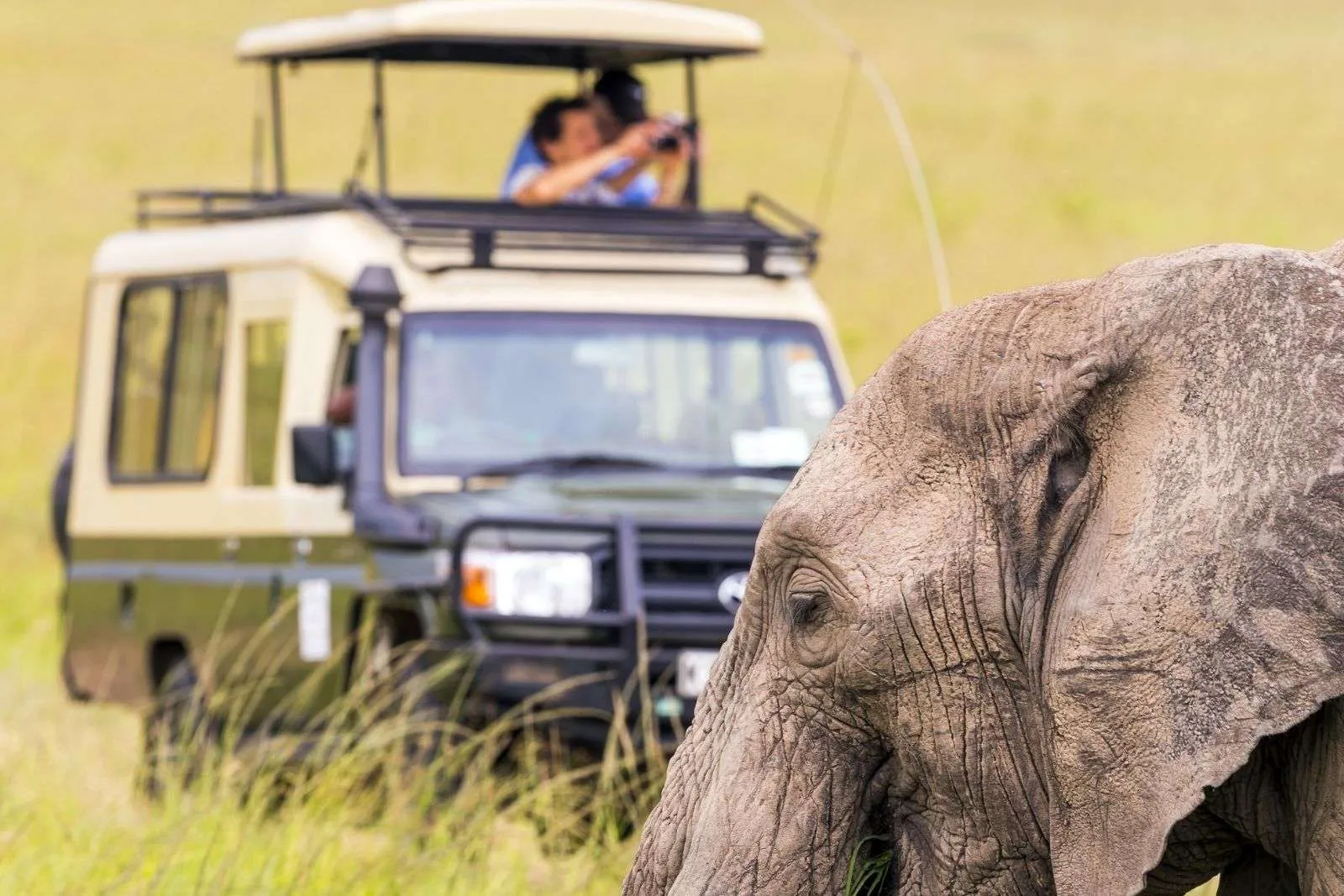 9 Days Uganda Cultural & Safari Journey