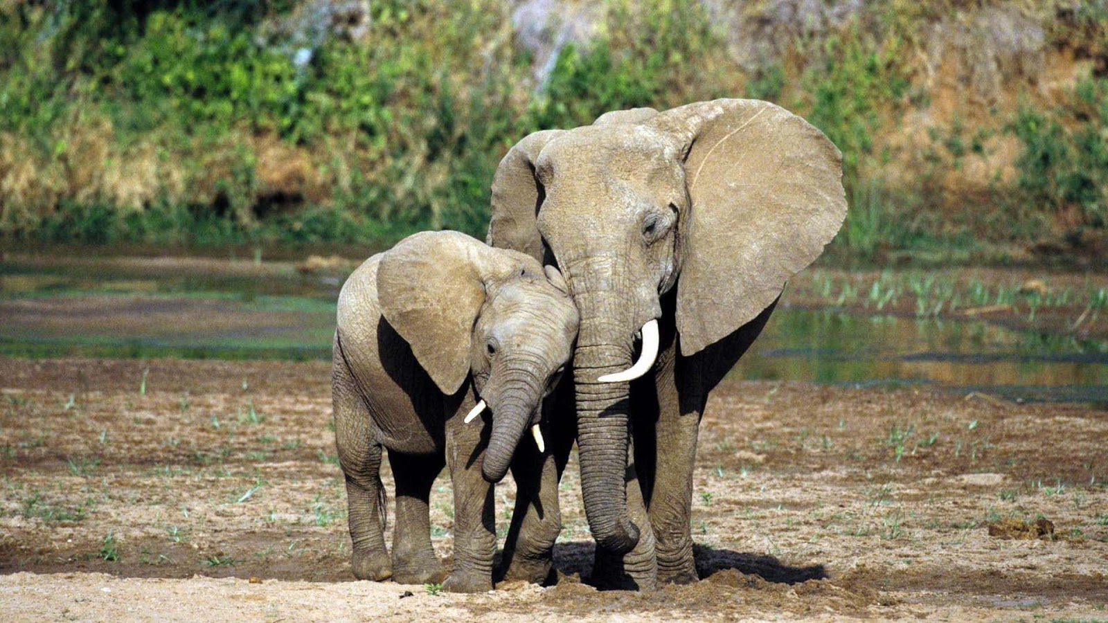 9 Days Uganda & Rwanda Adventure Safari