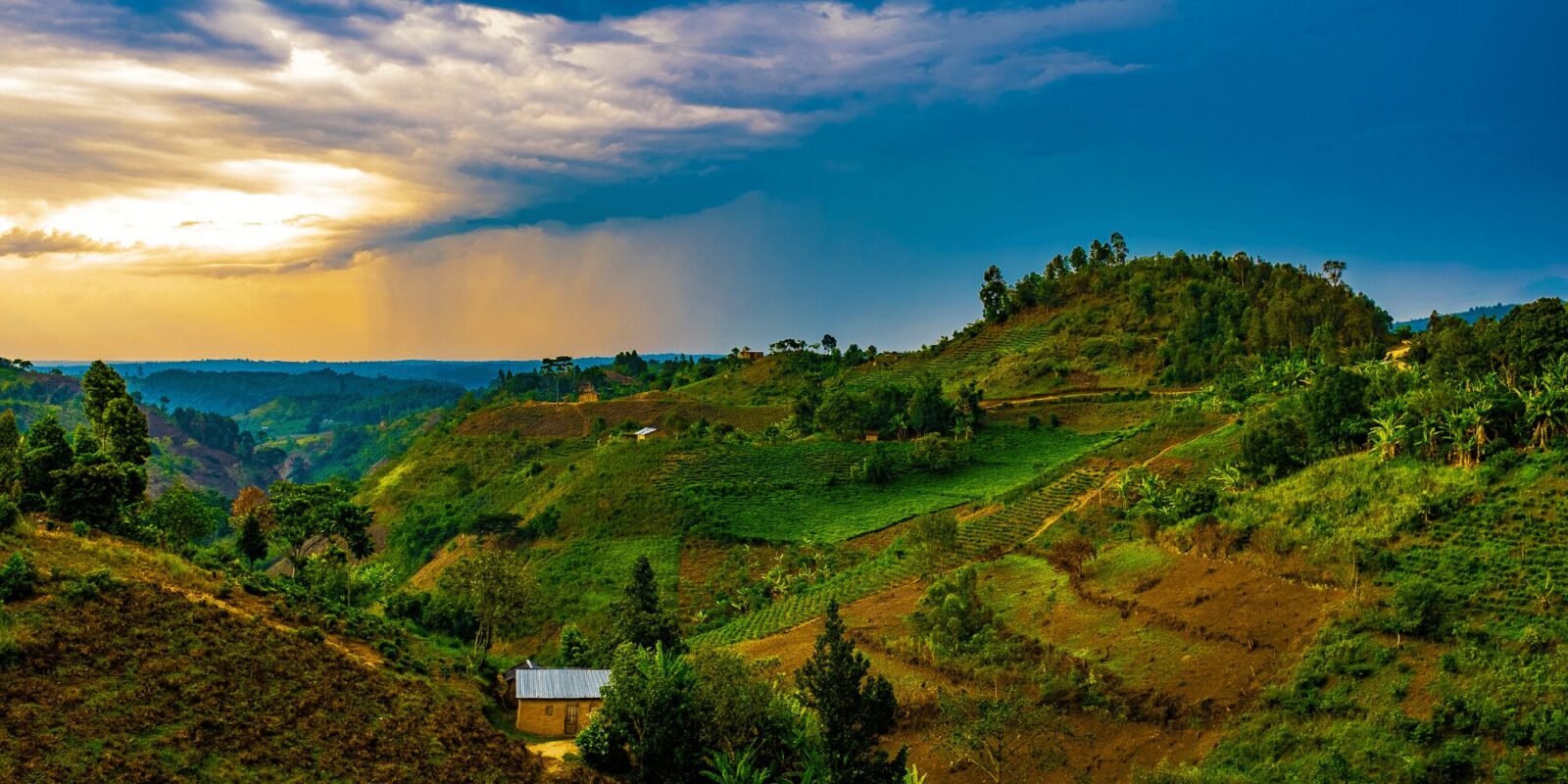 About Rwanda