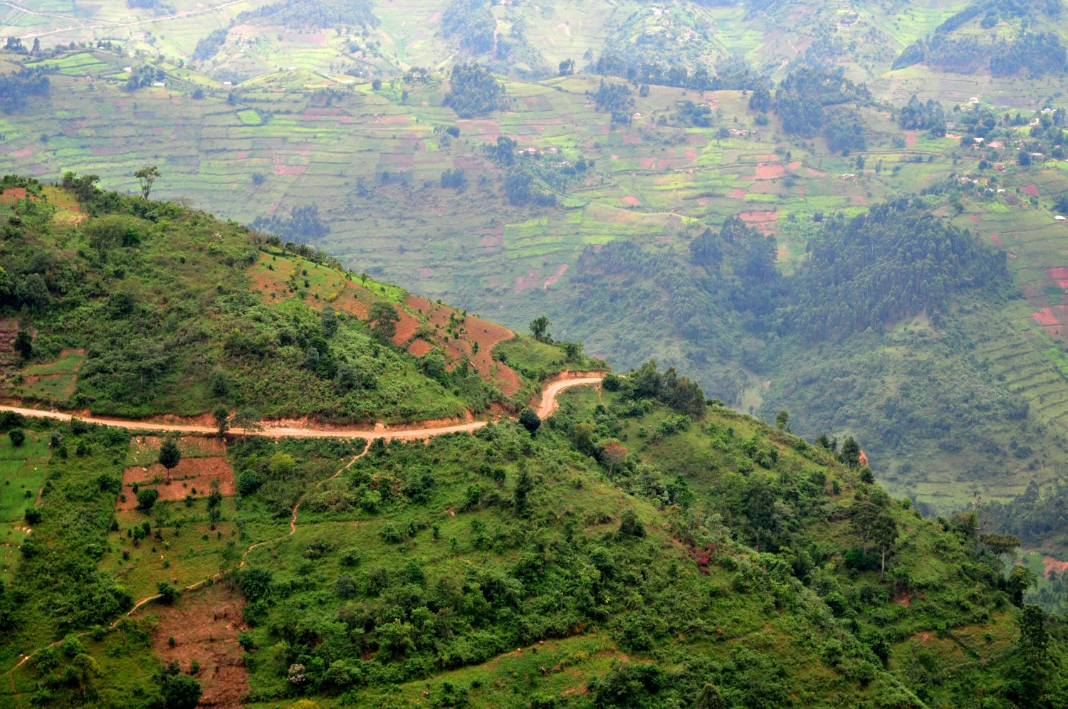 About Uganda
