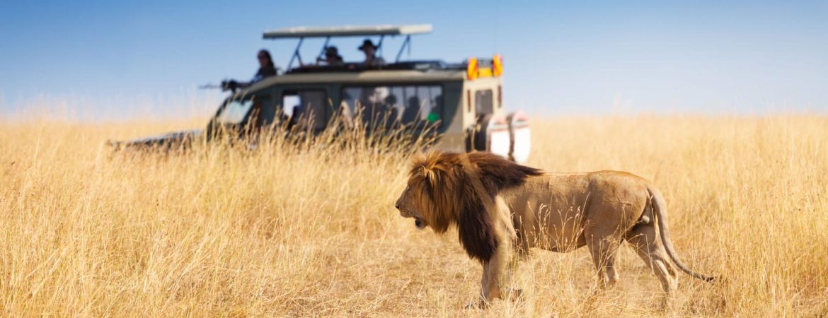 East Africa Safaris