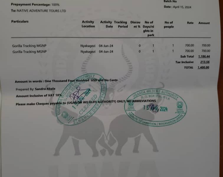 Gorilla Trekking Permits and Costs