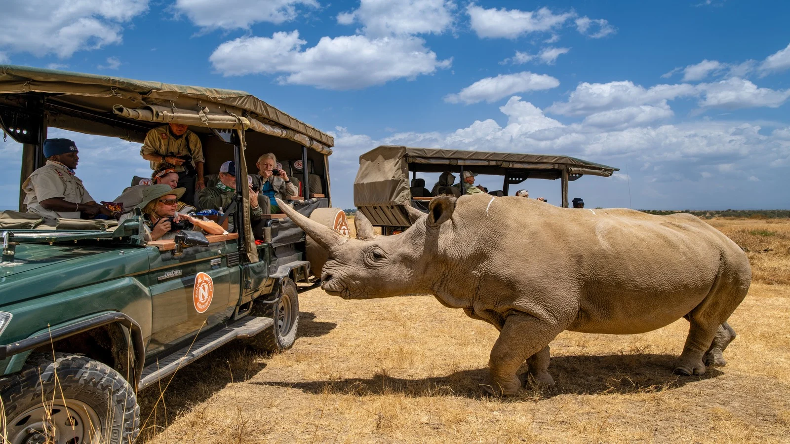 Kenya Safaris