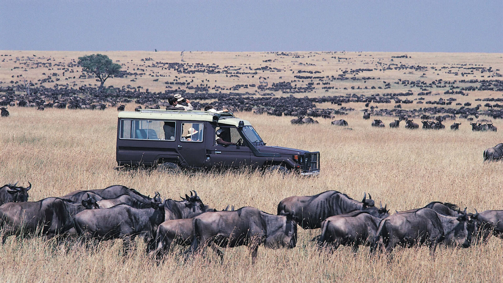 Masai Mara National Reserve