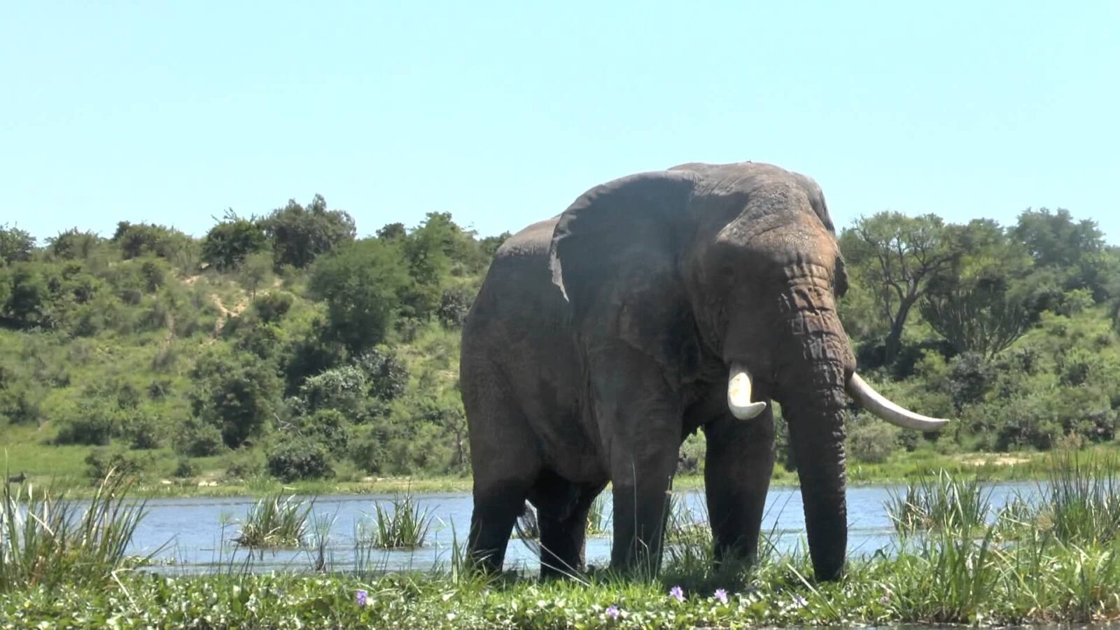 Murchison Falls National Park