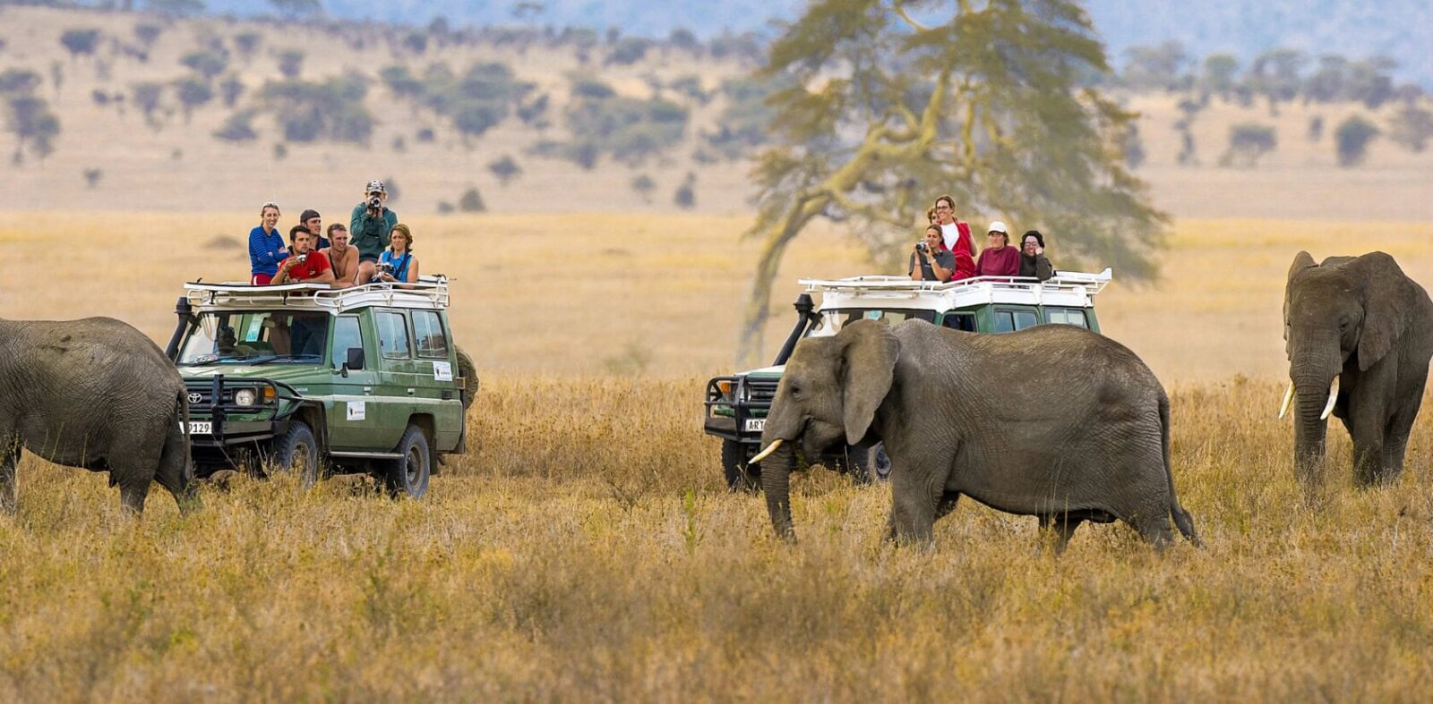 Ngorongoro Crater