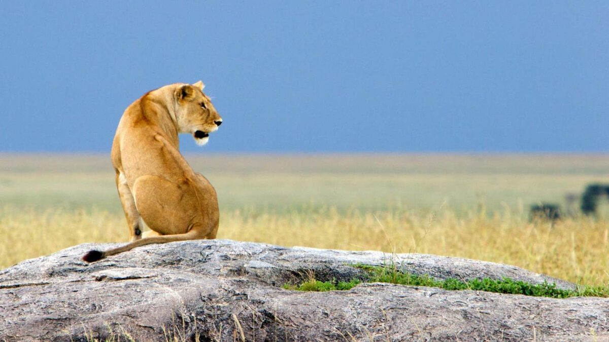 Ngorongoro Crater