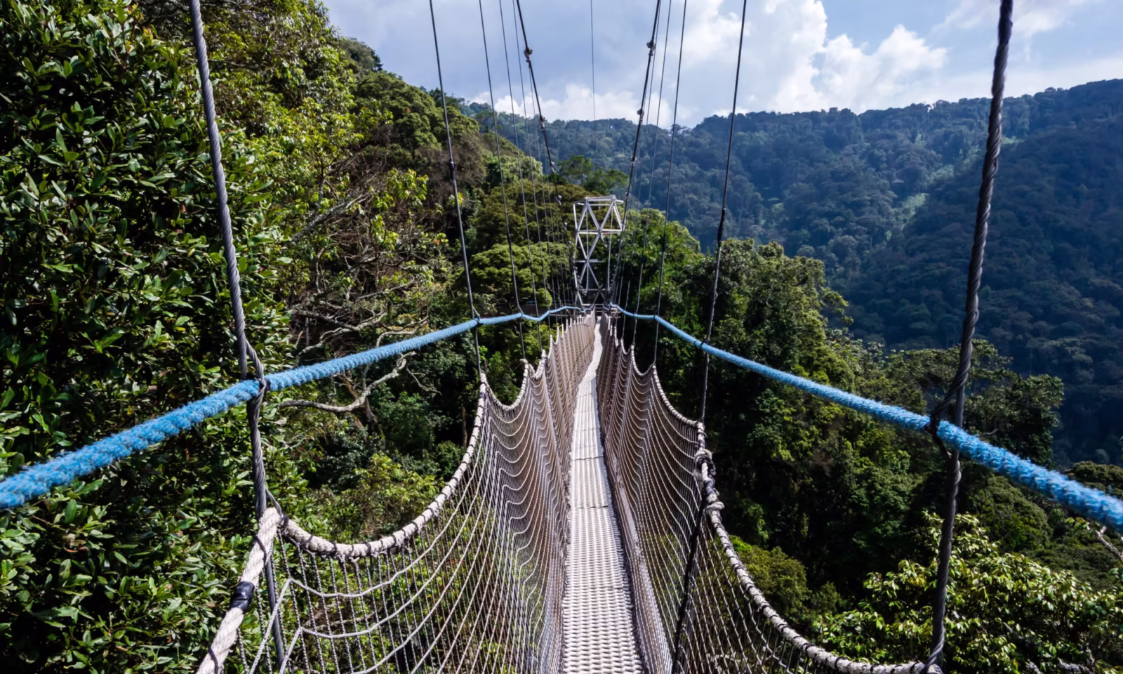Nyungwe National Park
