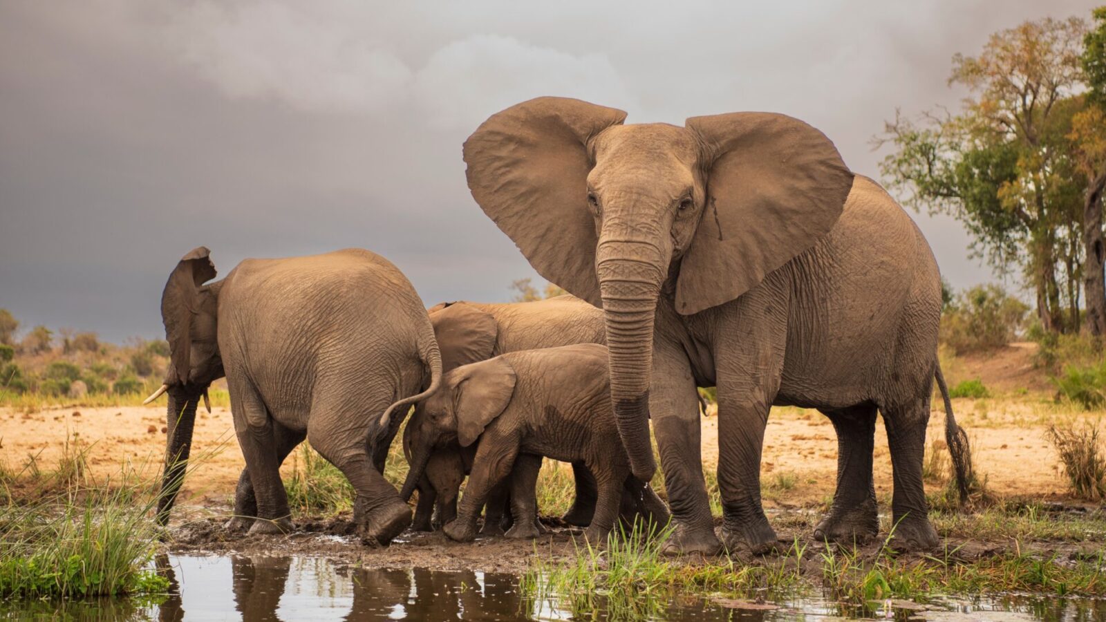 Rwanda Safaris 3 Rwanda Safaris